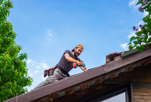 Best Roof Leak Repair  in Budd Lake, NJ